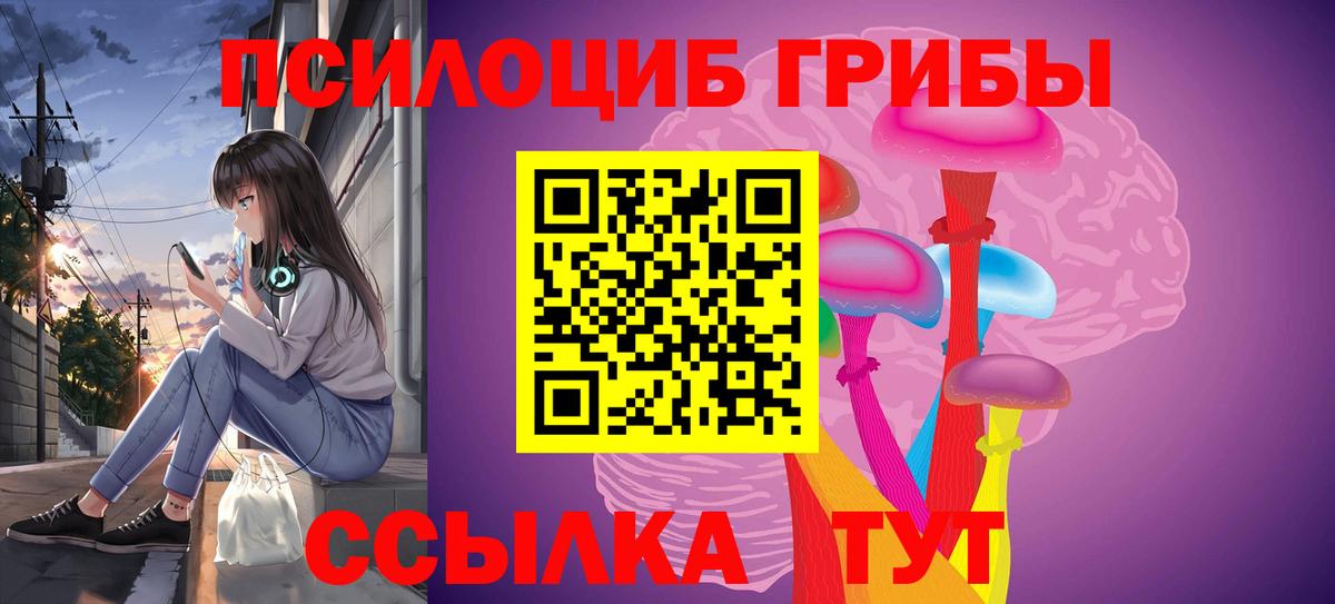 Псилоцибиновые грибы Cubensis Коммунар